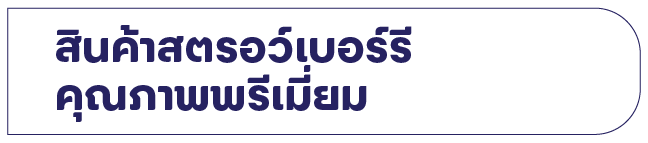 สินค้าสตรอว์เบอร์รี่คุณภาพพรีเมียม